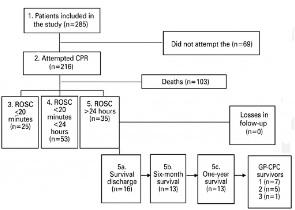 Do not attempt resuscitation orders at the emergency department of a