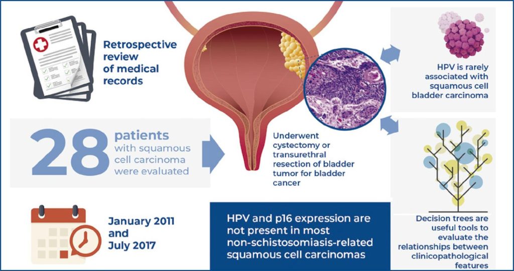 Association of human papillomavirus (HPV), p16, p53 and p63 expression